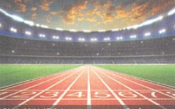 機能性化学品01